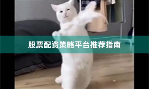 股票配资策略平台推荐指南